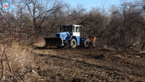 Старая поросль станет щепой: в абаканской зоне отдыха спецтехника готовит площадку под яблоневый сад