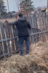 Перемахнув через забор, алиментщица из Черногорска пыталась сбежать от приставов