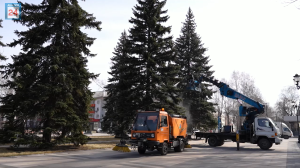 Чистота и защита от вредителей: полезный и необходимый душ приняли голубые ели в Парке Победы Абакана