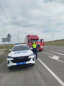 Почти 2 тонны сомнительного мяса пытались вывезти из Хакасии