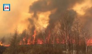 Лесной пожар на 40 гектарах тушили в Саралинском лесничестве Хакасии