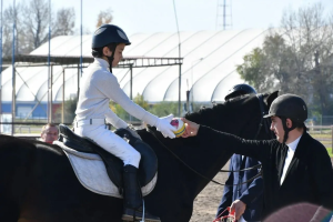 Чемпионат и первенство Абакана по адаптивному конному спорту пройдут в столице Хакасии