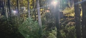 Медведь, убивший сторожа в Енисейском округе, ранен — зверь сбежал от охотников