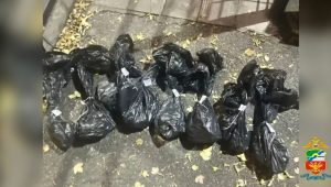 Абаканца с марихуаной задержали на территории одного из городских предприятий