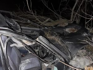 В ночном ДТП из-за лошади в Хакасии пострадали двое